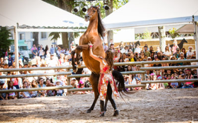 Revivez l’ambiance unique du festival en vidéos !