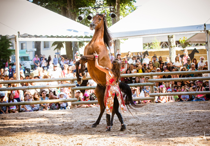 Actualités Festival Equestria