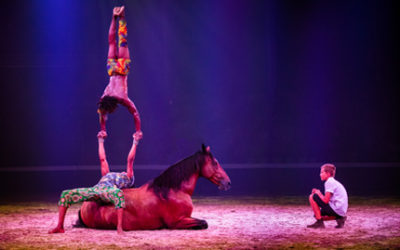 Le festival Equestria en images