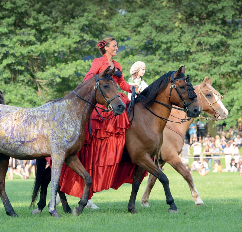 Sur un Air d'Equestria©Service Com Mairie de Tarbes