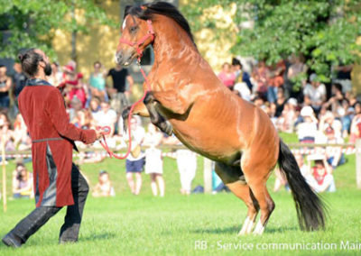 prairie600x300©RB-S-ervice-Com-Mairie-de-Tarbes