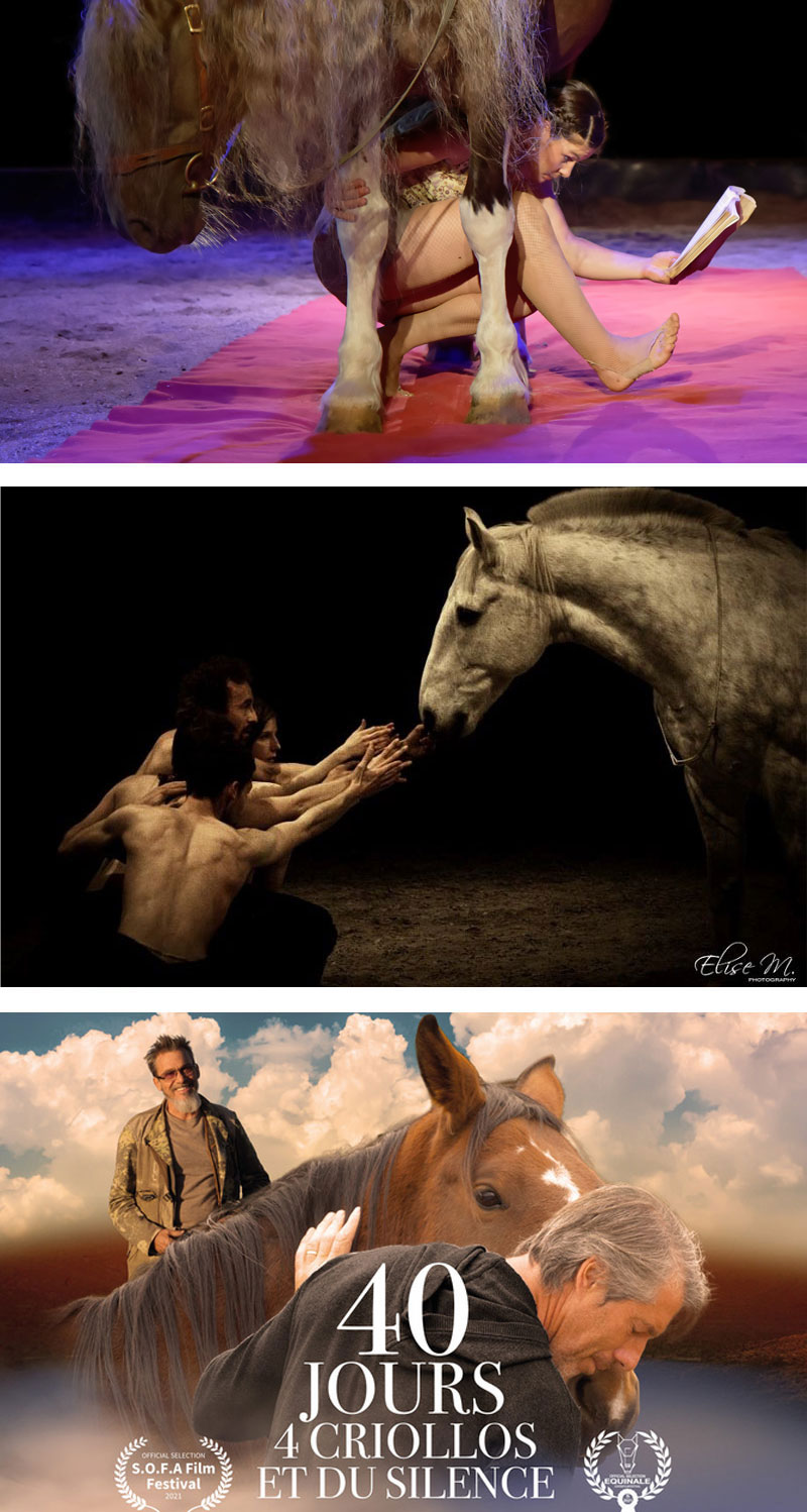 visuels_spect_montage2_800x1498 Visuel_spect_montage_800x1498