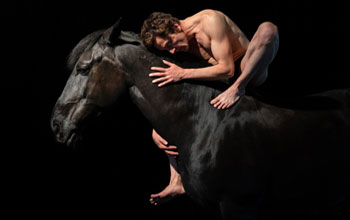 Spectacle « ANIMAL, danser avec le vivant » du Théâtre du Centaure