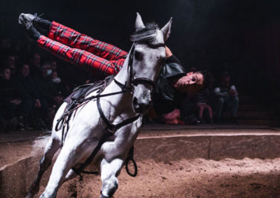 EDITION 2023 – Spectacle « Voltige, chevaux et Rock’n Roll » de la Compagnie Pagnozoo