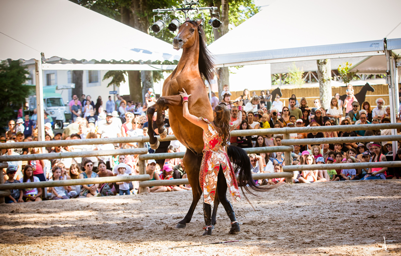 Village Equestria©ABassaler+Service Com Mairie Tarbes
