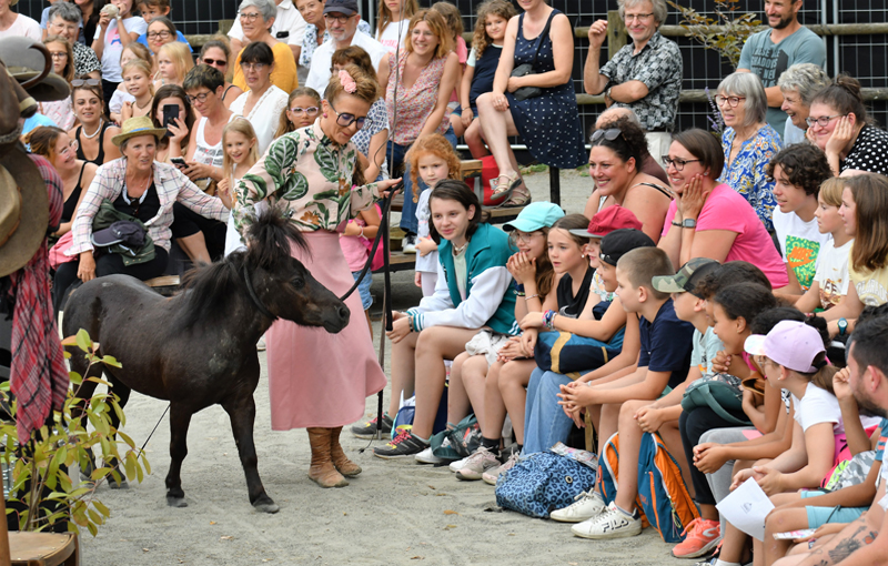 Village Equestria©ABassaler+Service Com Mairie Tarbes