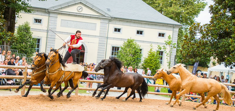 Village Equestria©ABassaler+Service Com Mairie Tarbes