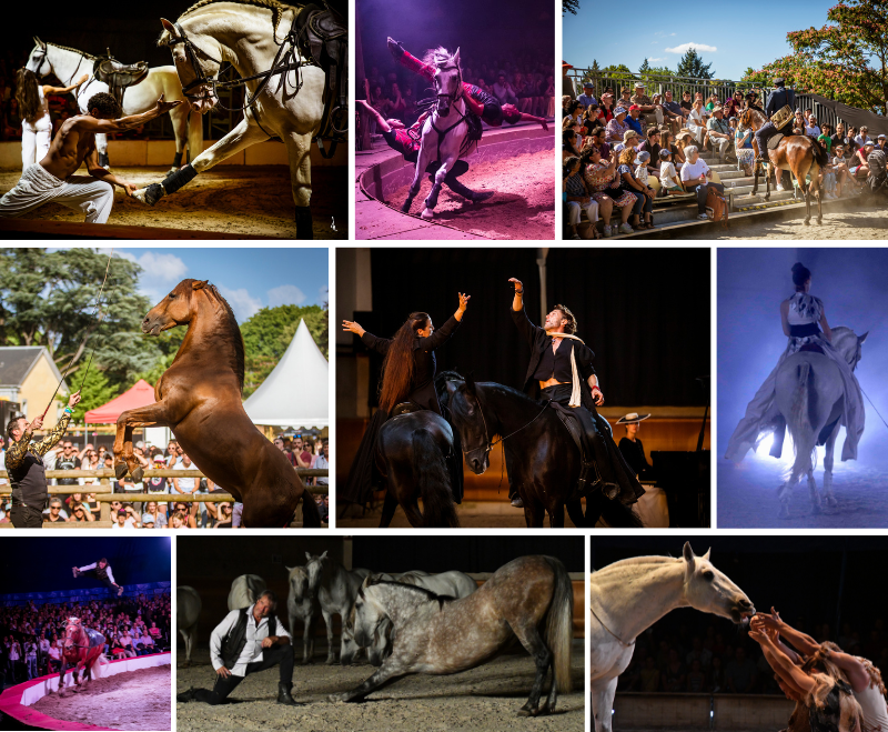 Visuels spectacles et village Equestria