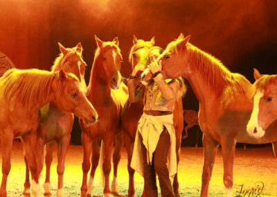 EDITION 2026 – Spectacle « SUEÑO » de la Compagnie Magali et Frédéric Pignon